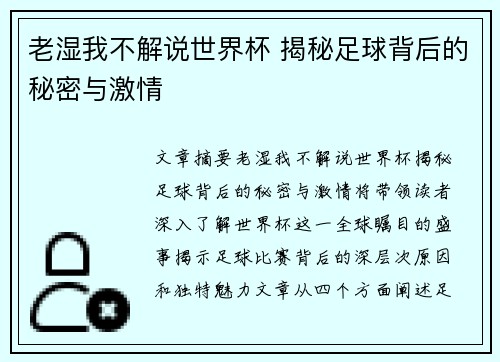 老湿我不解说世界杯 揭秘足球背后的秘密与激情